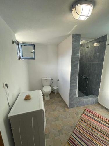 a bathroom with a toilet and a shower at Kontias stonehouse 2 in Kondiás