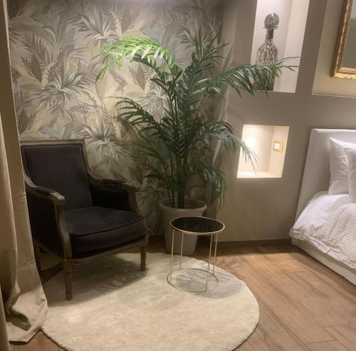 een slaapkamer met een stoel en een potplant bij Casa di Alice- Veratti in Milaan