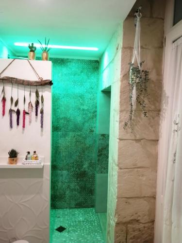 a bathroom with a shower with green walls at Palazzo Emy in Lecce