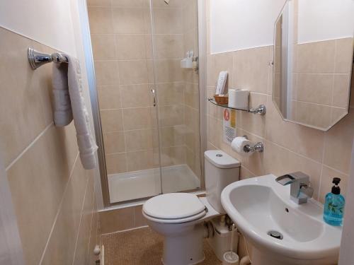 a bathroom with a toilet and a shower and a sink at The Norwood in Torquay