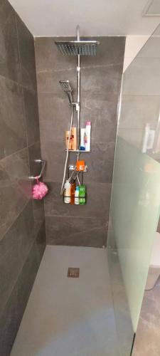 a bathroom with a toilet and a shelf with cleaning products at RELAX Sólo familias in Bellreguart