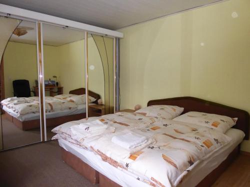 1 dormitorio con 2 camas y un espejo grande en Ferienhaus Am Waldrand - "Nebra" en Tornitz