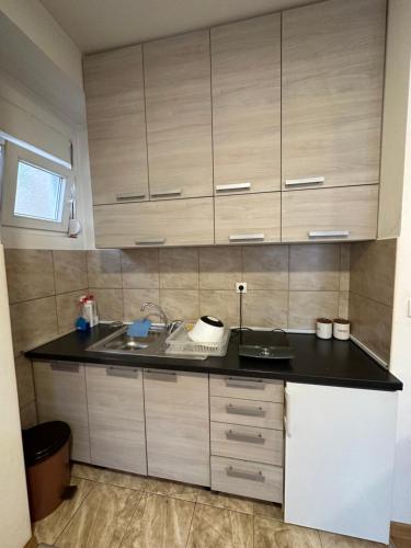 een keuken met een spoelbak en houten kasten bij Selena apartment in Podgorica
