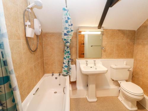 a bathroom with a sink and a toilet and a bath tub at Red Kite in Llanwinio