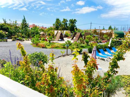 a garden with chairs and umbrellas on a beach at Bernegal MADAY HOT TUB CLIMATIZADO PISCINA Y JARDIN in Buzanada