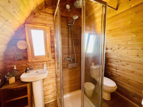 a bathroom with a shower and a sink and a toilet at Lykke Suite Spa Piscina y Jardín by Deihu Experiences in Buzanada