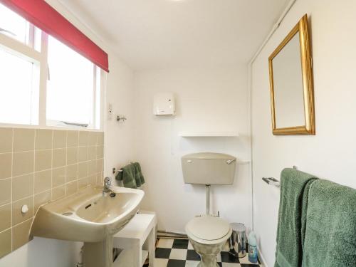 a white bathroom with a sink and a toilet at Cygnus Boathouse in South Walsham