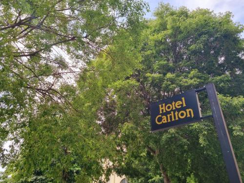 un panneau indiquant la prudence de l'hôtel devant les arbres dans l'établissement Hotel Carlton Nice, à Nice