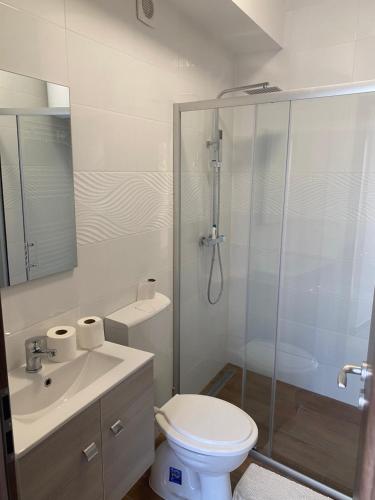a bathroom with a shower and a toilet and a sink at Beugró Lak in Esztergom