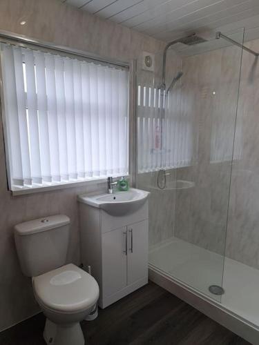 e bagno con servizi igienici, lavandino e doccia. di 1 Bed Apart a Dowlais