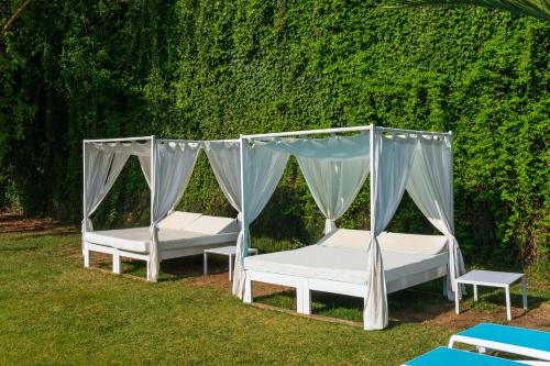two beds in a yard next to a wall at Hotel Vibra Marco Polo I - Adults only in San Antonio