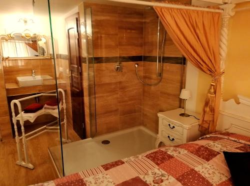 a bathroom with a shower and a bed and a tub at Hotel Denkmal 13 Rostock - Kaufmannshaus Krahnstöver in Rostock