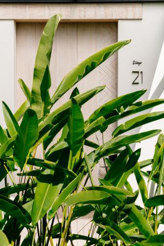 a plant in front of a house with the number at Good Hotel Antigua in Antigua Guatemala