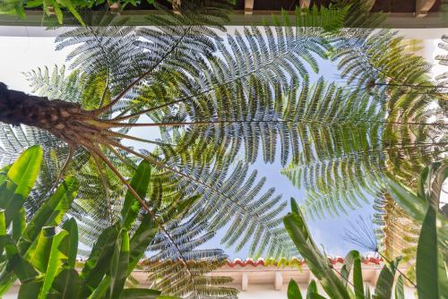 a close up of a palm tree at Good Hotel Antigua in Antigua Guatemala