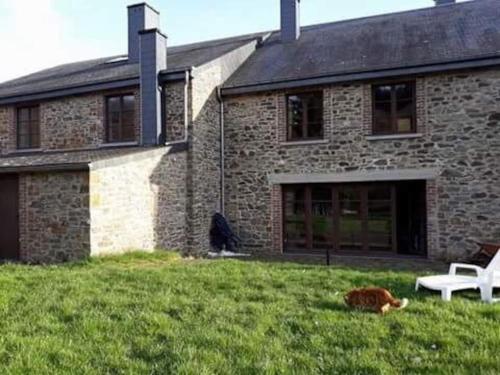 een hond in het gras voor een huis bij Charmante maison de caractère à 2Km de Redu in Libin