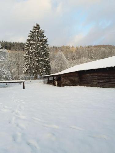 a snow covered field with a barn and a tree at Charmante maison de caractère à 2Km de Redu in Libin