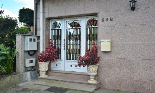 twee vazen met bloemen voor een deur bij Apartamentos Caleiro 4P - Vilanova de Arousa in Villanueva de Arosa