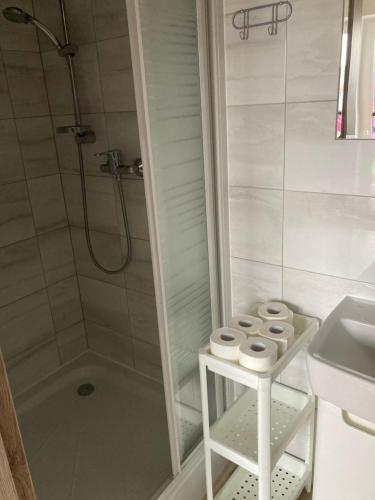 a bathroom with a shower and a sink and a shower at Sofia Pokoje z łazienką i aneksem kuchennym in Jarosławiec