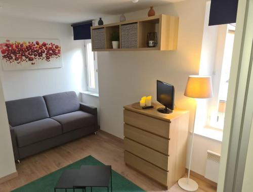 un piccolo soggiorno con divano e TV di Studio zone piétonne à Saverne a Saverne