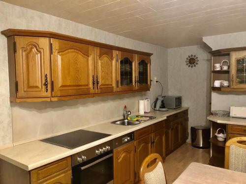 a kitchen with wooden cabinets and a sink at Auszeit - a84018 in Mengersgereuth-Hämmern