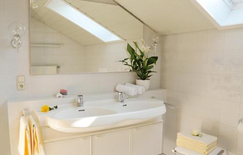 een badkamer met een wastafel en een spiegel bij Ferienwohnungen Klügl in Riedenburg