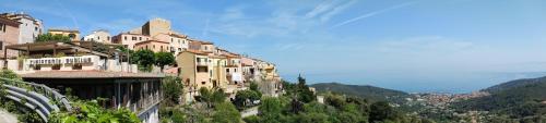 a group of buildings on the side of a mountain at Monolocale Poggio in Marciana