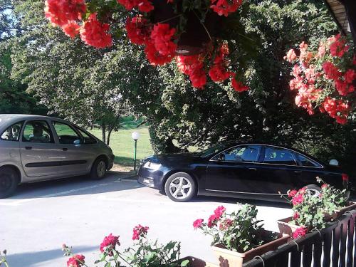 two cars parked in a parking lot with flowers at Apartman & Sobe Orhideja in Smoljanac