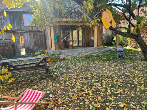 a bench and a chair in a yard with leaves at Casa de vacanta traditionala La Fanar in Schiuleşti