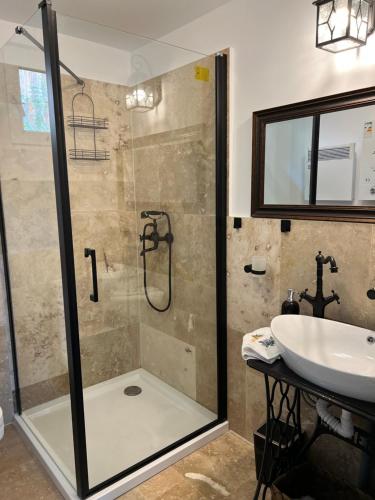 a bathroom with a shower and a sink at Casa de vacanta traditionala La Fanar in Schiuleşti