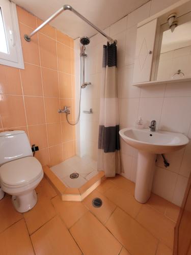 uma casa de banho com um WC e um lavatório em LEFKADA TWINS 4 em Agios Kirykos