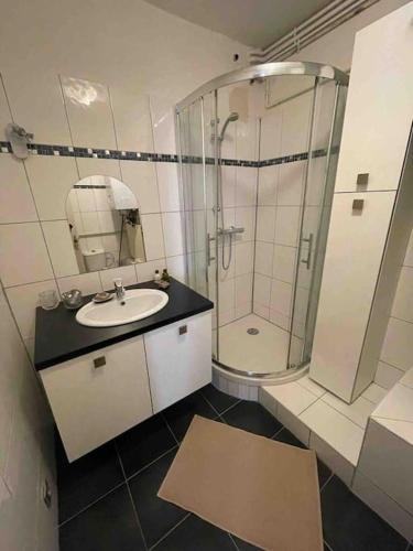 une salle de bain avec un lavabo et une douche dans l'établissement Appartement 2 chambres au cœur de Strasbourg, à Strasbourg