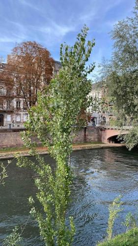 Appartement 2 chambres au cœur de Strasbourg