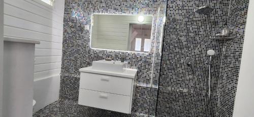 a bathroom with a sink and a mirror and a shower at La petite Villa in Terre-de-Haut