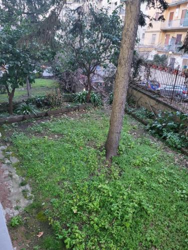 RiDi Home Zona Ospedaliera