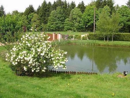 a bush with white flowers in the middle of a pond at Gite Le Paradis in Saint-Nabord