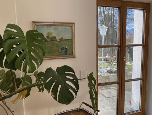 uma planta num quarto com uma pintura e uma janela em Sonnenloft Else und Studio Luise em Neubeuern