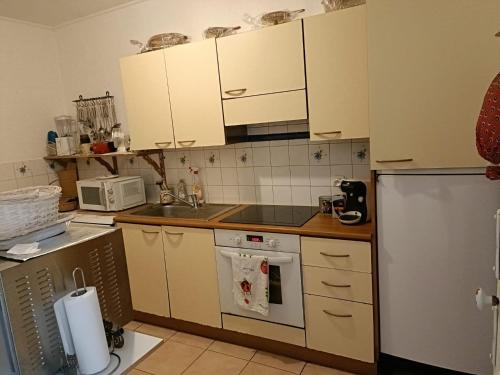 een keuken met witte kasten, een wastafel en een koelkast bij cannescentre in Cannes