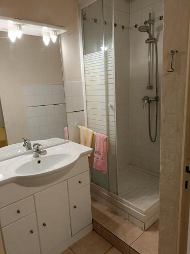 een badkamer met een wastafel en een douche bij cannescentre in Cannes