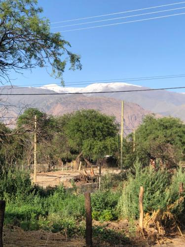 a view of a field with mountains in the background at Tampu, the Container House in Cafayate