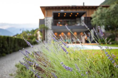 a garden with purple flowers in front of a building at Innerbachlerhof - Mut in Postal