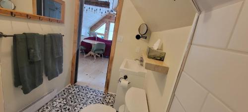 a bathroom with a toilet and a shower at Welcome to the Mandeville in Wellington