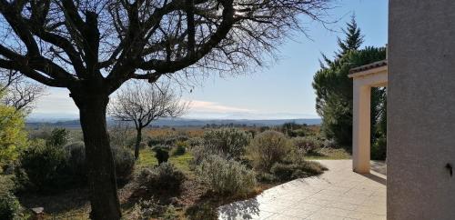 a view of a garden with a tree and a building at Gîte Les Romarins in Saint-Jean-de-Minervois