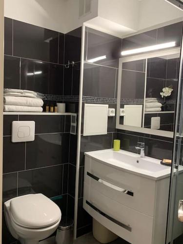 une salle de bain avec toilettes, lavabo et miroir dans l'établissement Azur 015 YourHostHelper classé 2 étoiles, à Cannes