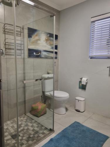 a bathroom with a toilet and a glass shower at Alimandi Nursery Cottage in Cape Town