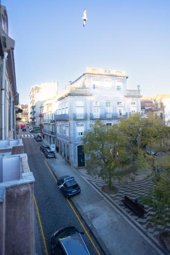 Amazing Family Flat in Center Porto