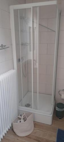 a bathroom with a shower and a shoe on the floor at Hotel Landgasthof Adler in Bad Krozingen