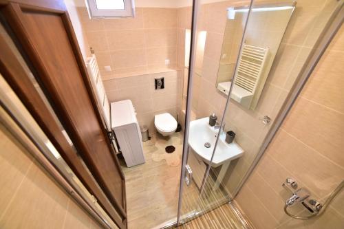 un piccolo bagno con servizi igienici e lavandino di Apartament 3 camere, Schiller Residence, Piata Mare a Sibiu