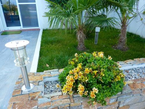 a garden with a bunch of yellow flowers in a yard at Appartement chaleureux à Penta-di-Casinca 60 m² avec piscine privée in Penta-di-Casinca