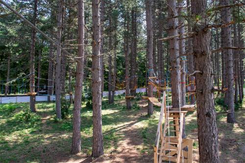 a forest with a ladder in the middle of trees at Panorama Hotel & Spa in Kruševo