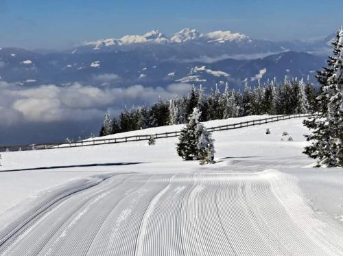 a snow covered road with trees and mountains in the background at Apartmaji Koželj in Ribnica na Pohorju